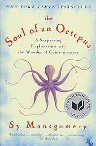 The Soul of an Octopus