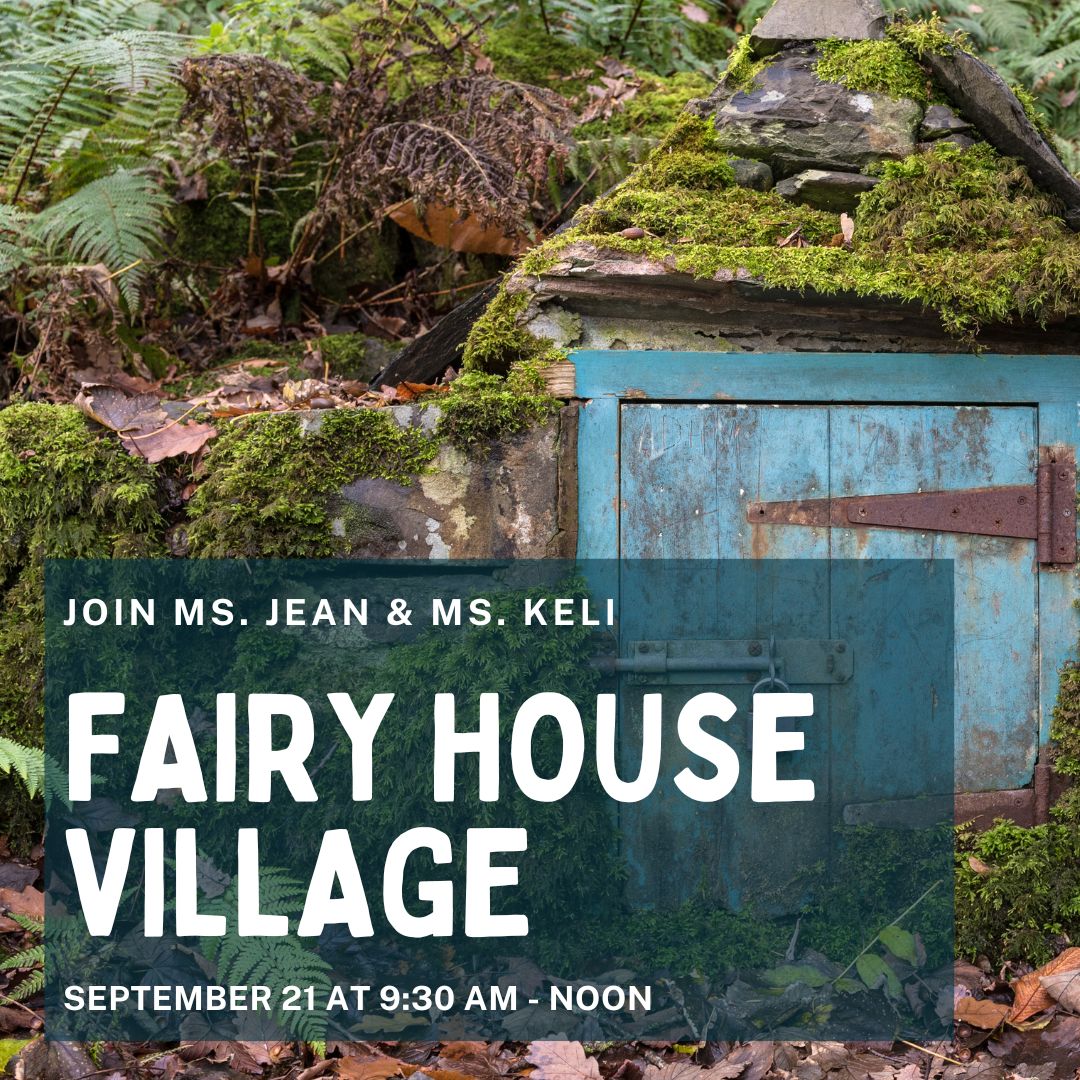 Fairy House Village