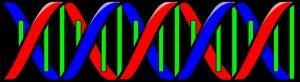 DNA Interest Group -Native American Genealogy Weekend