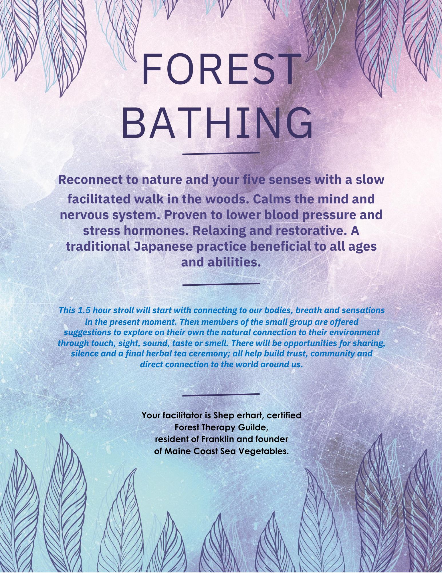 Forest Bathing with Shep Erhart